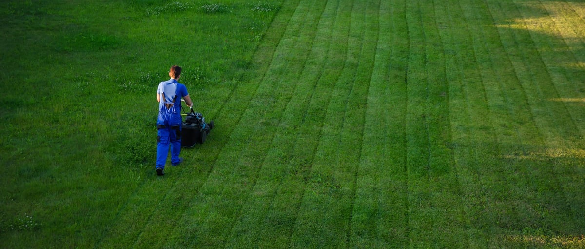Professional lawn mowing service in Lafayette Indiana